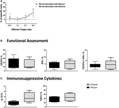 The Effect of Mesenchymal Stromal Cells Derived From Endometriotic Lesions on Natural Killer Cell Function